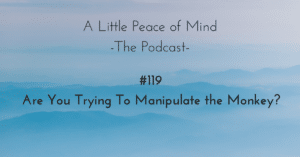 A_little_peace_of_mind_podcast_episode_119